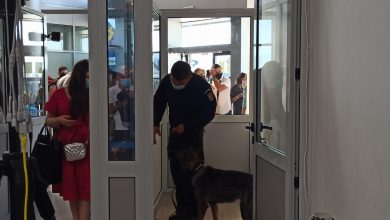 Photo of VIDEO| Câinii Centrului Chinologic și-au început “serviciul” la Aeroportul Sibiu. Pasagerii, testați de echipele canine