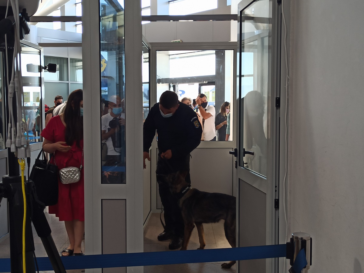 VIDEO| Câinii Centrului Chinologic și-au început „serviciul” la Aeroportul Sibiu. Pasagerii, testați de echipele canine