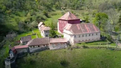 Photo of VIDEO| Studenții se implică în cercetări arheologice la Castelul “Turnu Roșu” de la Boița