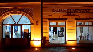 Photo of Salonul de Iarnă se deschide la Galeria UAP