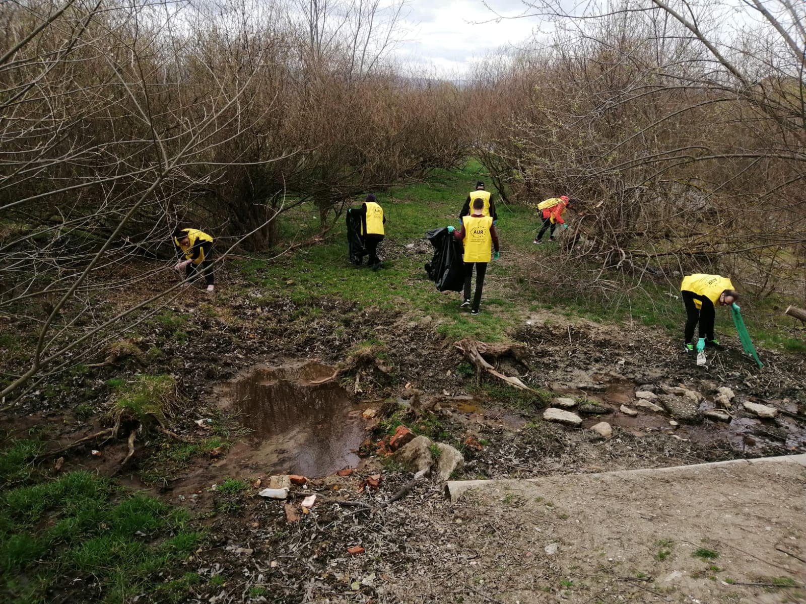 FOTO| Membrii AUR Sibiu au curățat albia râului Cibin