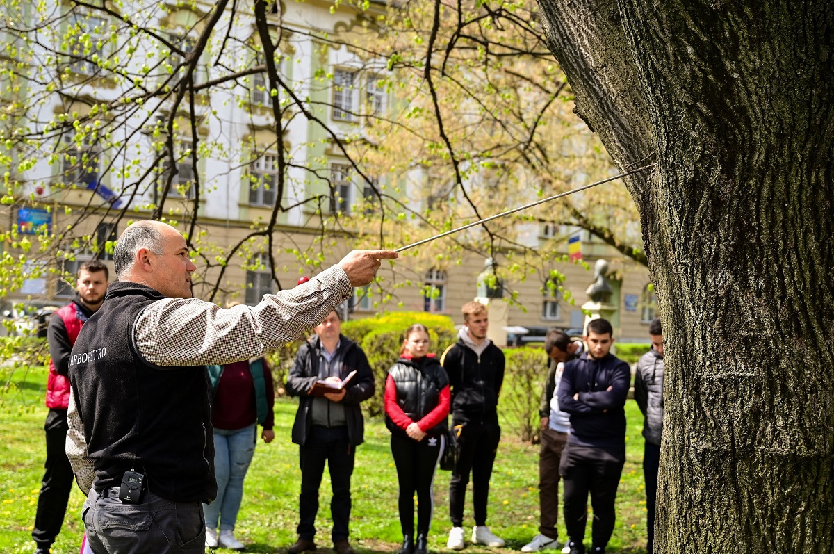Studenții ULBS vor putea urma stagii de practică la Primăria Sibiu. Vor putea inventaria arborii și evalua starea de sănătate