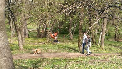 Photo of Vânătoare de căpușe în parcurile din Sibiu. Atenție la copii și cei cu probleme cardiace!