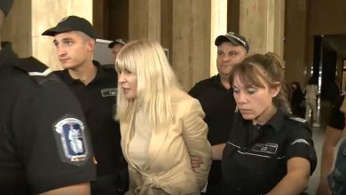 Photo of VIDEO| Elena Udrea va fi extrădată în România: „Se pare că nu există justiție pentru mine!”