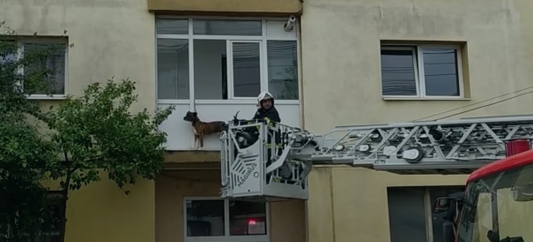 VIDEO| Câine blocat în lesă, agățat de balcon. Au intervenit pompierii