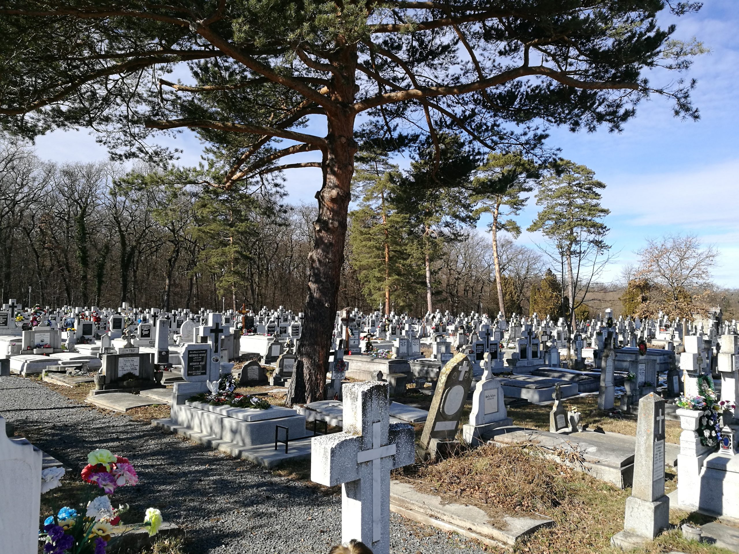 Licitație funebră în Sibiu: cine dă mai mult pentru un mormânt