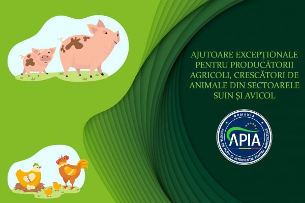 Crescătorii de animale din sectoarele suin și avicol pot primi ajutor de la APIA