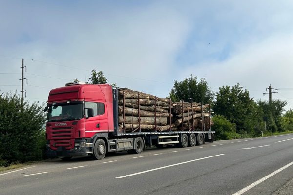Peste 21 mc de lemne confiscați și mopediști în ilegalitate, în ultimele 24 de ore